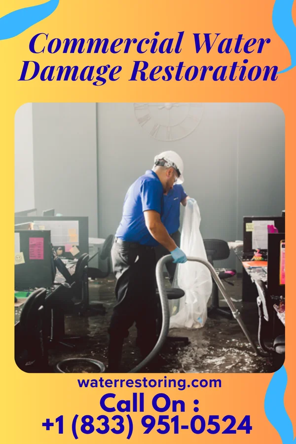 Commercial Water Damage Restoration in Cypress Quarters, FL