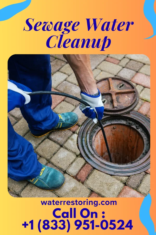 Sewage Water Cleanup in Cypress Quarters, FL